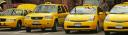 Texas Yellow & Checker Taxi logo